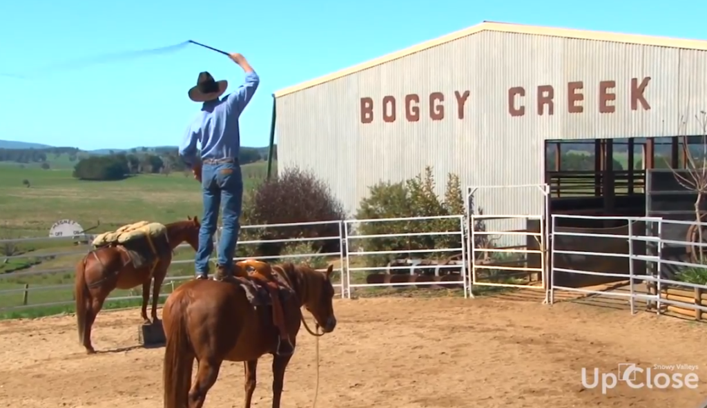 Discover Our Experiences Snowy Valleys Up Close